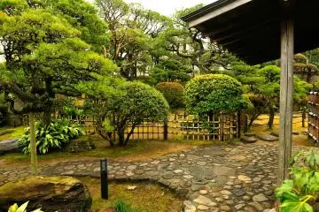<p>A plum tree, nandina and Japanese andromeda are planted in front of the garden</p>
