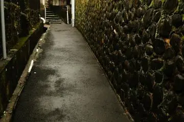 <p>The pathway leading to the Netherlanders' settlement in Dejima Island, to which only the prostitutes of Maruyama were allowed to enter. I wonder if this is the original Dutch Slope (Oranda-zaka) in Maruyama?</p>