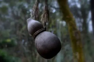<p>A gourd cup hanging from eaves of a house</p>