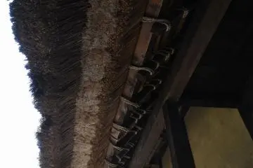 <p>Looking up at the eaves of a thatched-roof house</p>