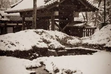 One of the gates to the museum as seen from inside a property at the Edo Tokyo Museum