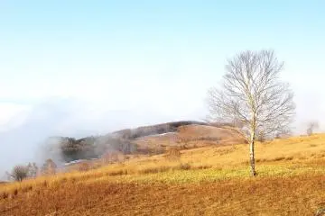 <p>I just stood there, mesmerized by the sea of clouds surrounding me!</p>
