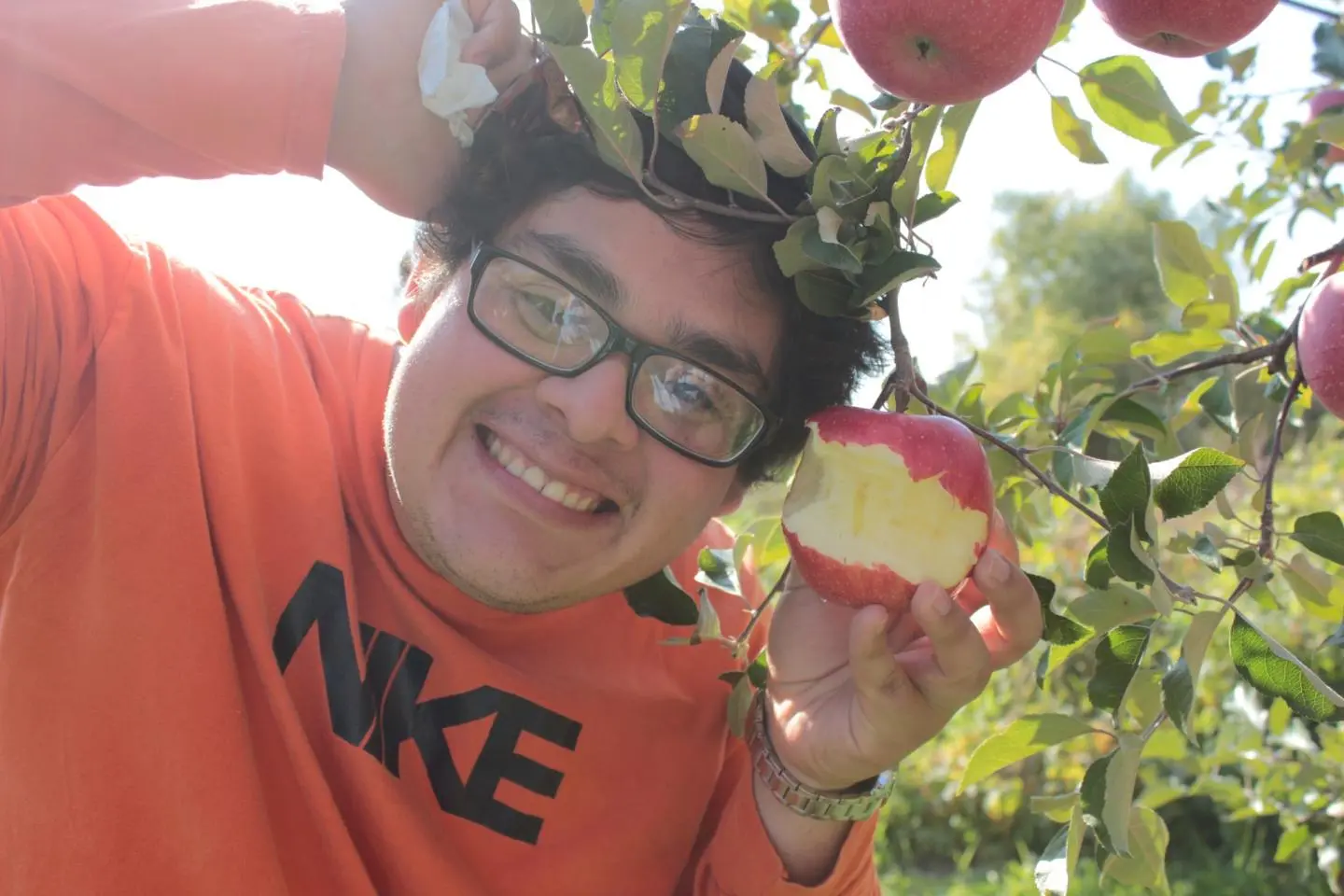 Aomori's Amazing Apples