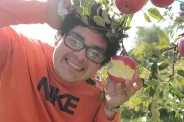 Aomori's Amazing Apples