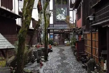 Saito Museum and Café