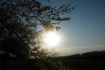 <p>The sun getting ready to set. A great image for a great day!</p>