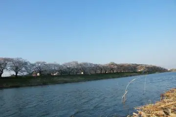 <p>Looking over at the other bank</p>
