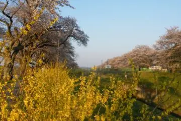 <p>Colors of nature</p>