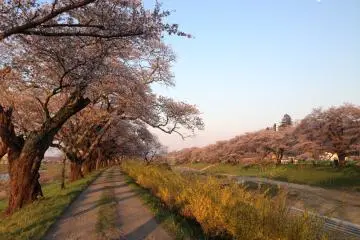 <p>Just imagine taking a stroll along this road.</p>