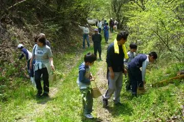 <p>Gathering mountain and woodland vegetables in the spring</p>