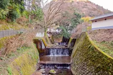 <p>A long river will lead you into a forest</p>