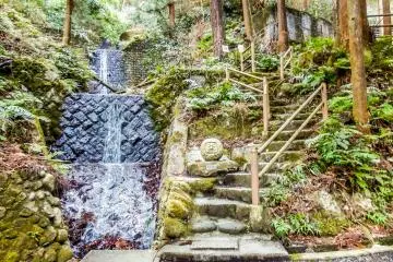 <p>As you enter this forest, the sounds of running water will get louder</p>