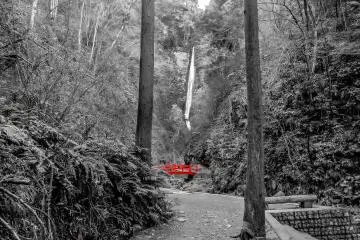 <p>The falls will become more visible as you approach along the main walkway</p>