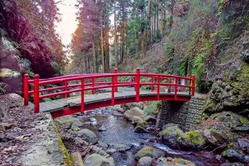 <p>​A look back in the opposite direction away from the falls</p>