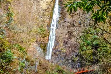 <p>​Interestingly, Shasui Waterfall actually consists of 3 separate falls. The largest and most visible one measures over 69 meters in height</p>