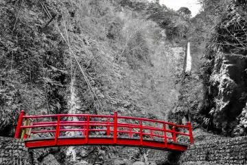 <p>One last look at these impressive falls</p>