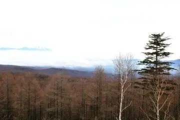 <p>When I climbed to the Mugikusa Mountain Pass and descended on the side of Yachiho Highland, I could see Mount Asama showing its face ahead to the left from the nearby parking lot!</p>