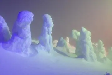 <p>The lights during the illumination were beautiful. They added yet another dimension to these awesome creatures.</p>