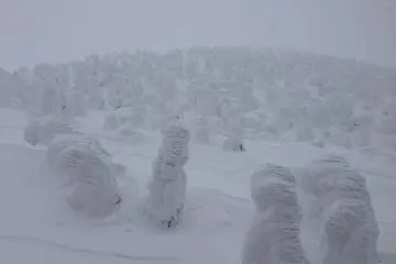 <p>Monsters, monsters everywhere!</p>