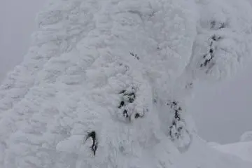 <p>He looks as if he's slowly climbing uphill.</p>