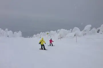 <p>Snow boarders have a grand time.</p>