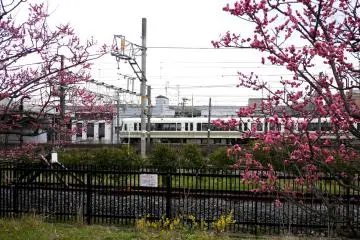 <p>A JR train going past</p>