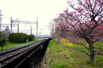 <p>Looking along the tracks</p>