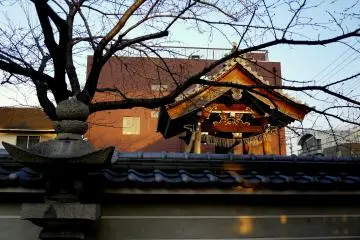 <p>The wood of the bell tower glows in the late sunlight</p>