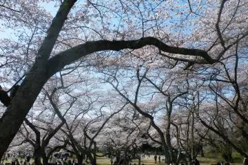 <p>Mark your spot and enjoy a leisurely stroll.</p>