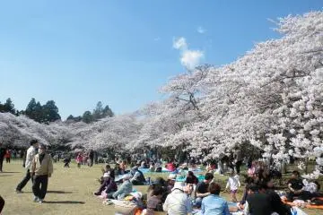 <p>There are lots of trees in this park, and a huge open area in the middle where one can engage in one sport or the next.</p>