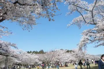 <p>This is one of the spots that is worth visiting</p>