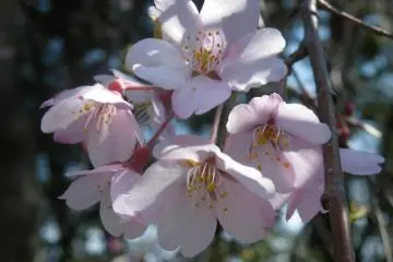 <p>Near or far, they are a sight to behold. &nbsp;</p>