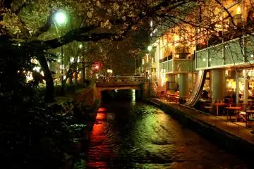 <p>The Takasegawa flows past many restaurants</p>