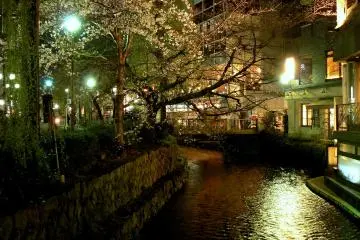 <p>A beautiful spring evening in Kyoto!</p>