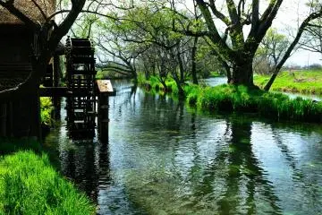 <p>It was warm, and the greens looked fresh under the spring sunshine</p>