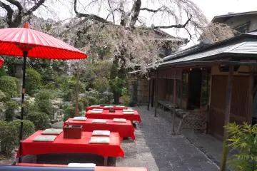 <p>Red benches set out for enjoying tea and sweets under the cherry blossoms</p>