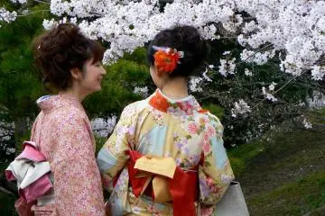 <p>Such beautiful kimonos! Such beautiful cherry blossom!</p>