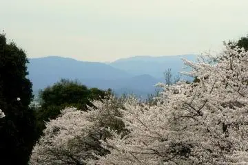 ภูเขาสีน้ำเงินของเกียวโตมองจากเนินเคะอะเกะ
