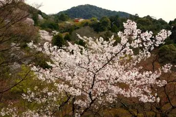 มองข้ามสวนไปยังเจดีย์
