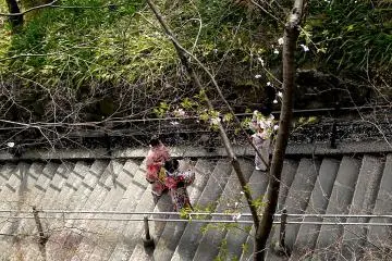 สาวๆ ในชุดกิโมโนกำลังยืนคุยกันบนบันได
