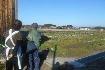 <p>The kitchen garden of our hosts</p>