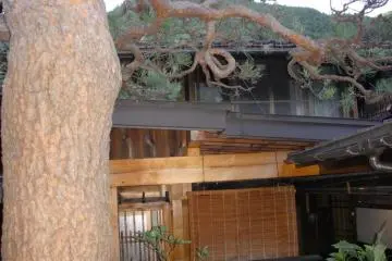 The central garden brings nature directly to you with mountain views through the rooftops