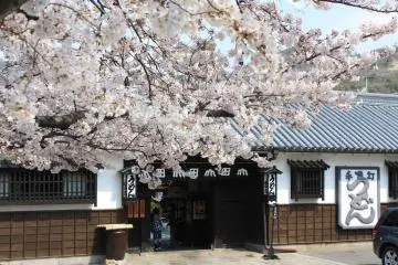<p>ร้านยะมะดะยะ (Yamadaya) กับดอกซากุระ</p>