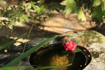 <p>ซึตคุไบ (Tsukubai) อ่างหินในสวน</p>