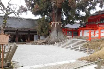 <p>View of the apple tree garden and the Naoraiden&nbsp;hall</p>