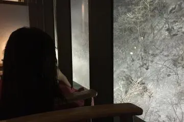 <p>After we got back to the hotel, there was one more round of soaking in the hot springs. Then, it started snowing heavily and we were glued to the window for the rest of the night, devouring one ice cream from the vending machine after another (very refreshing).</p>
