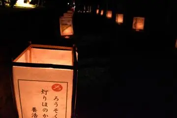 <p>An army of handmade paper lanterns line the path</p>