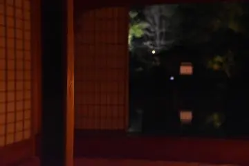 <p>Wooden pillar of a Japanese room with an illuminated garden in the background</p>