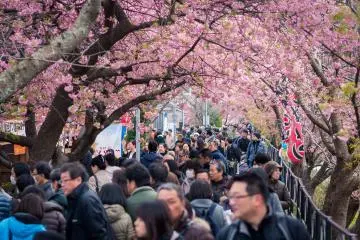 <p>Crowds can get pretty heavy at times at the festival, but it's not a problem - you'll want to walk slow anyway to enjoy the views and food!</p>