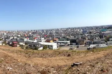 <p>A panoramic view of the city</p>